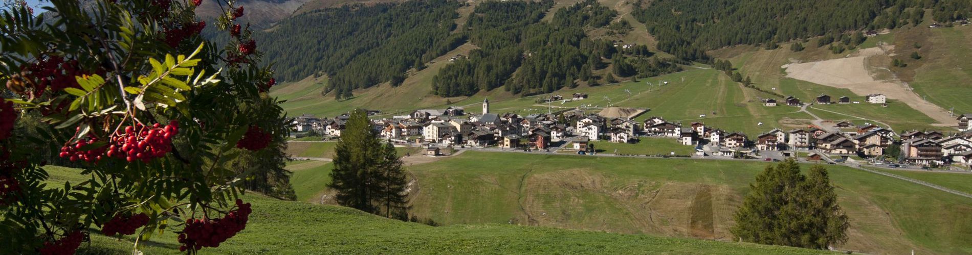 Montagna