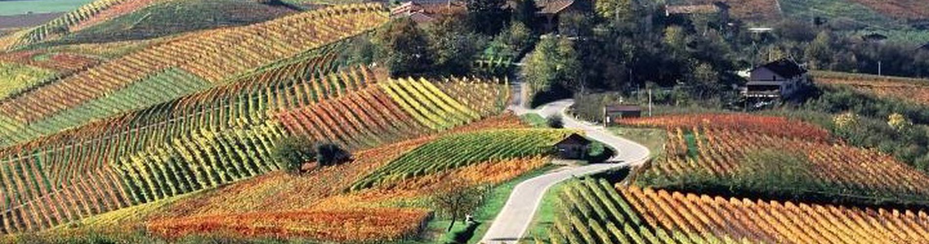 Piemonte