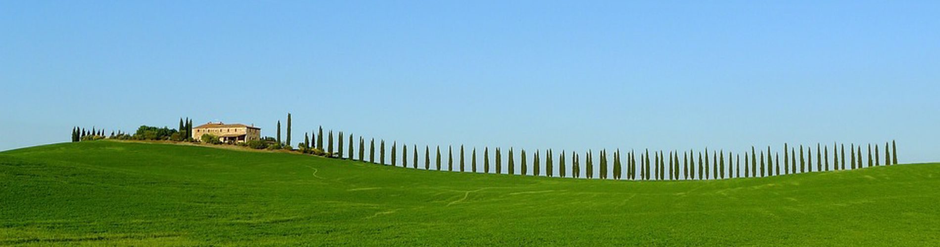 Agriturismi