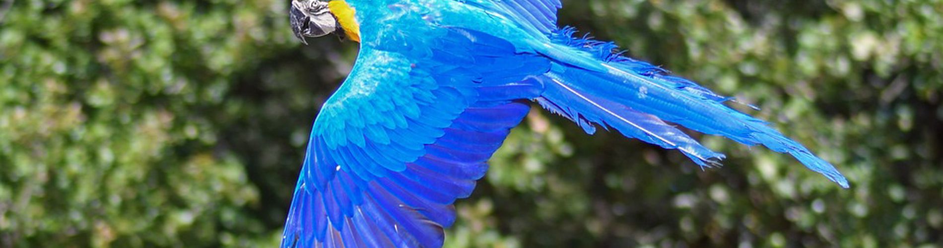 A tu per tu con gli animali