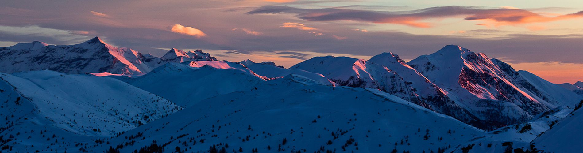 Alpi