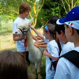 Esperienza con alpaca e altri animali nella Tuscia viterbese