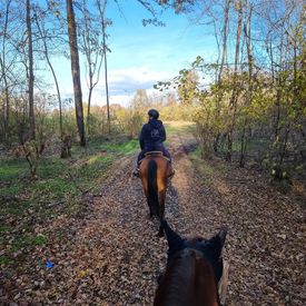 Passeggiata a cavallo tra i boschi