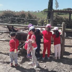 Esperienza in fattoria didattica