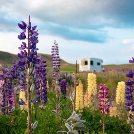 10 consigli per una vacanza in camper