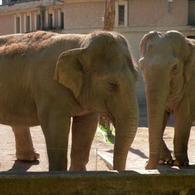 Zoo e Bioparchi