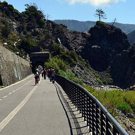 The most beautiful bike paths in Liguria