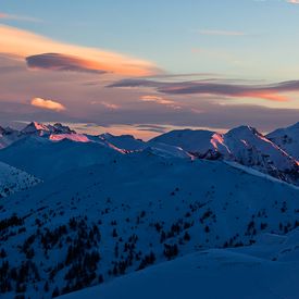 Alpi