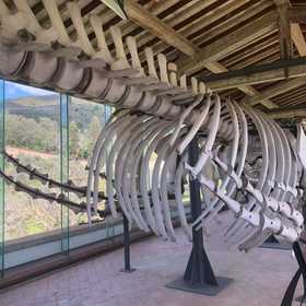 Museo di storia Naturale