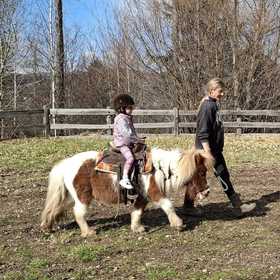 passeggiata sui pony per bambini