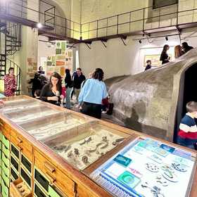 Radici, Piccolo Museo della Natura
