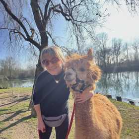Passeggiata con alpaca vicino a Milano