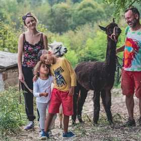 Passeggiata con alpaca sulle Langhe
