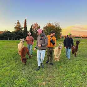 Passeggiata con alpaca nel Parco della Cava