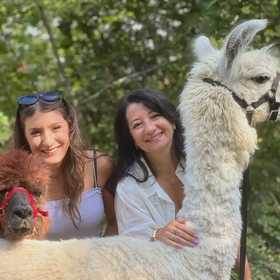 Passeggiata con alpaca e lama