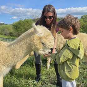 Esperienza interattiva con alpaca