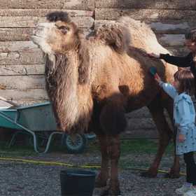 Giornata da Robin Hood