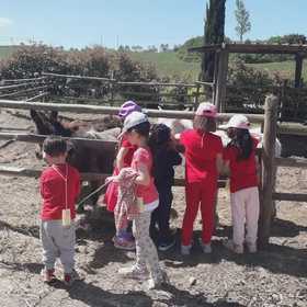 Esperienza in fattoria didattica