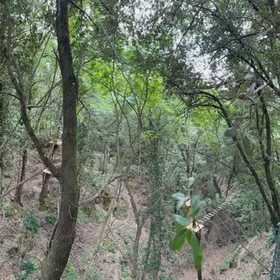Parco avventura Vicino a Firenze
