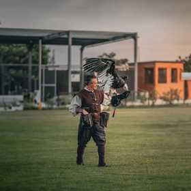 Falconiere per un giorno in Salento