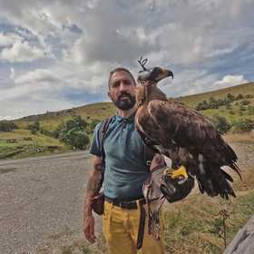 Incontro con i rapaci in provincia di Siena