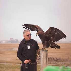 Falconiere per un giorno nel Canavese