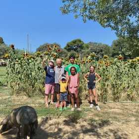 Visita in una fattoria di maiali Cinta Senese e light lunch