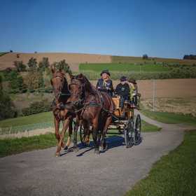 Giro in carrozza e aperitivo