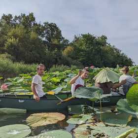 Tour in canoa canadese sul Lago di Varese all