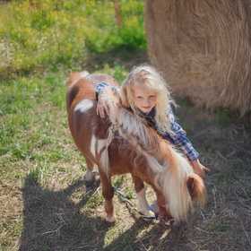 Esperienza con pony sulle colline di Sanremo