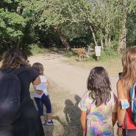 Trekking tour nella 