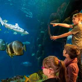 SEA LIFE München