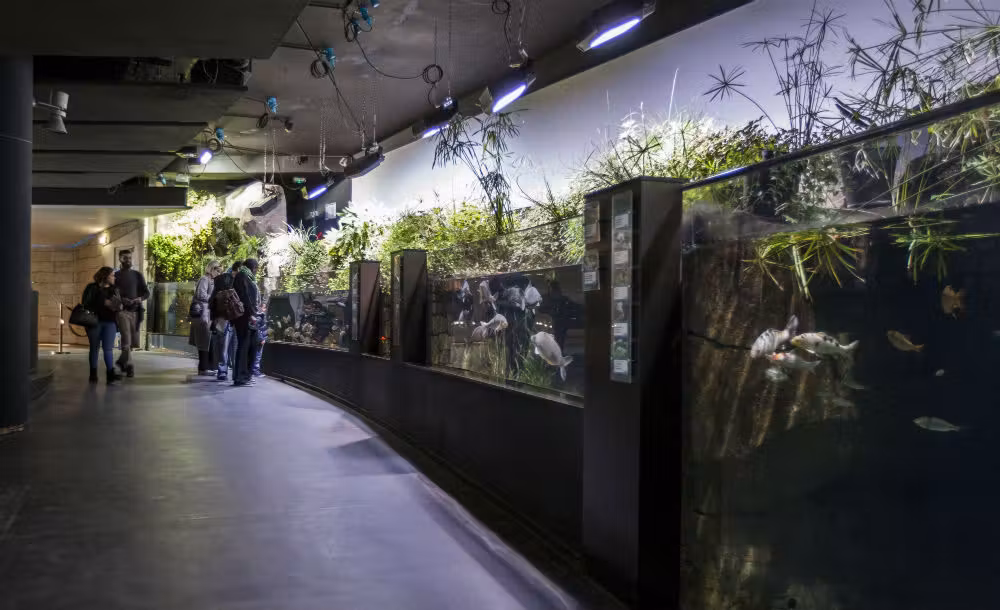 Acquario  Cinéaqua di Parigi