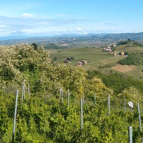 Mangiare in Piemonte con i bambini per famiglie