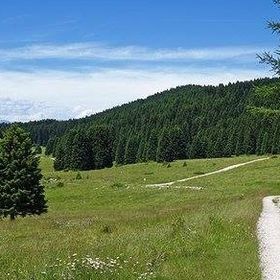 Le e-bike in montagna con i bambini per famiglie