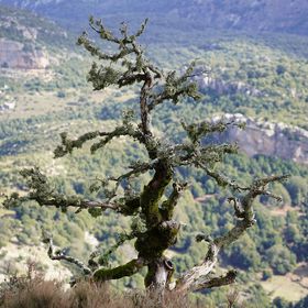 Cosa vedere nell'entroterra della Sardegna per famiglie