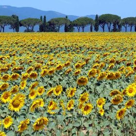 Weekend bambini Toscana  per famiglie