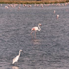 Ravenna e I Lidi Ravennati per famiglie
