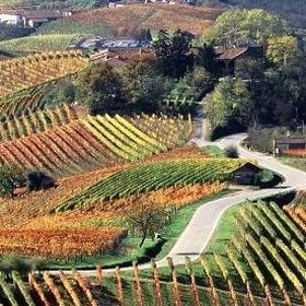 In vacanza in Piemonte con i bambini - Its4kids