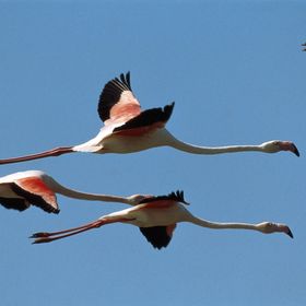 Dai lidi Ferraresi  a Comacchio, spiagge, natura e sport! per famiglie