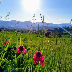 I castelli più belli delle Marche per famiglie
