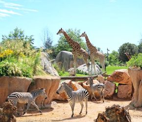 Offerta vacanza bambini Zoom Torino a Cumiana