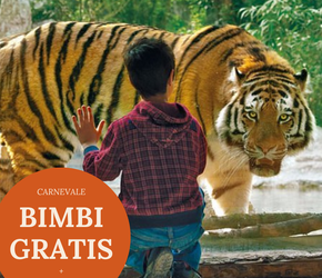 Offerta vacanza bambini Hotel La Meridiana a Castelnuovo del Garda