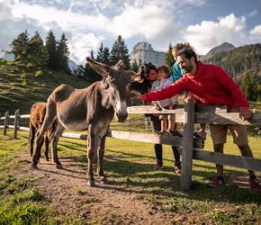 Offerta vacanza bambini Grand Hotel Piz Galin Family & Wellness a Andalo