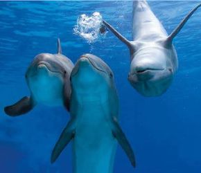 Offerta vacanza bambini Oltremare a Riccione