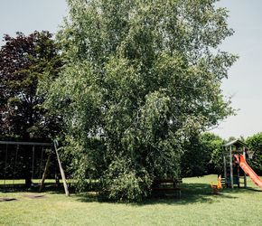 Offerta vacanza bambini Hotel La Meridiana a Castelnuovo del Garda