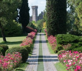 Offerta vacanza bambini Parco Giardino Sigurtà a Valeggio Sul Mincio