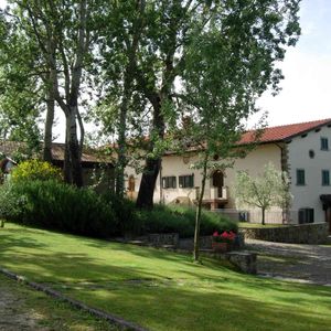 Fattoria di Belvedere