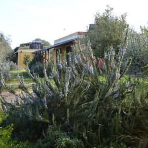 Casa per ferie Villaggio Carovana