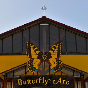 Butterfly Arc - Casa delle Farfalle e Bosco delle Fate